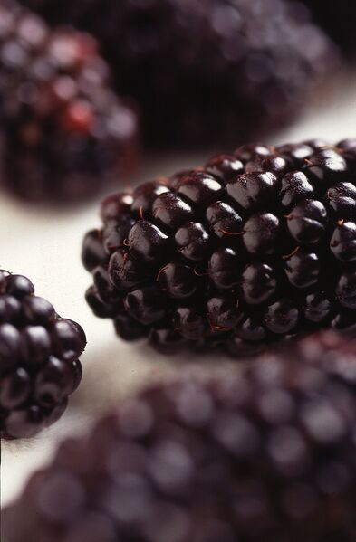 File:1280px-Black Butte blackberry.jpg