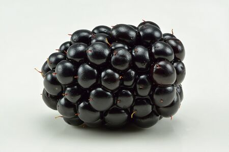 style=max-width:40%; margin-right:10px;