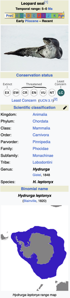 File:Leopard seal 2.png